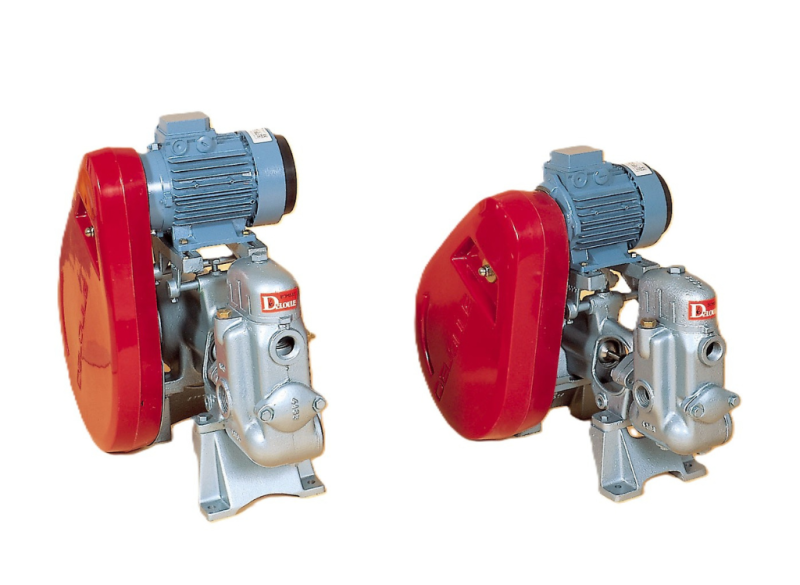 Pompes Deloule New-Star 620-920 : pompes à piston performantes pour eau froide