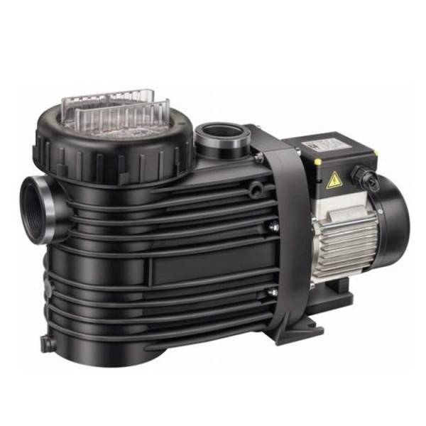 Pompes de piscine & Spa Speck Pumpen