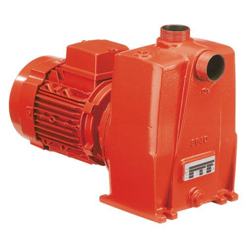 Pompes de chantier Salmson